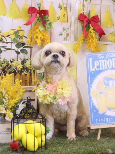 20240416モカちゃん